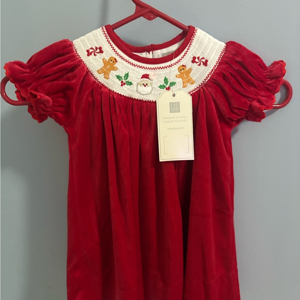 Lil Cactus Smocked Dress with Gingerbread Embroidery.